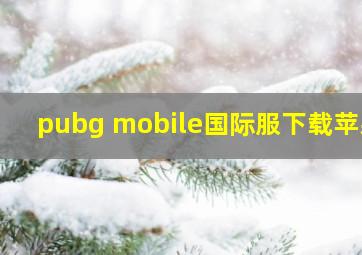 pubg mobile国际服下载苹果